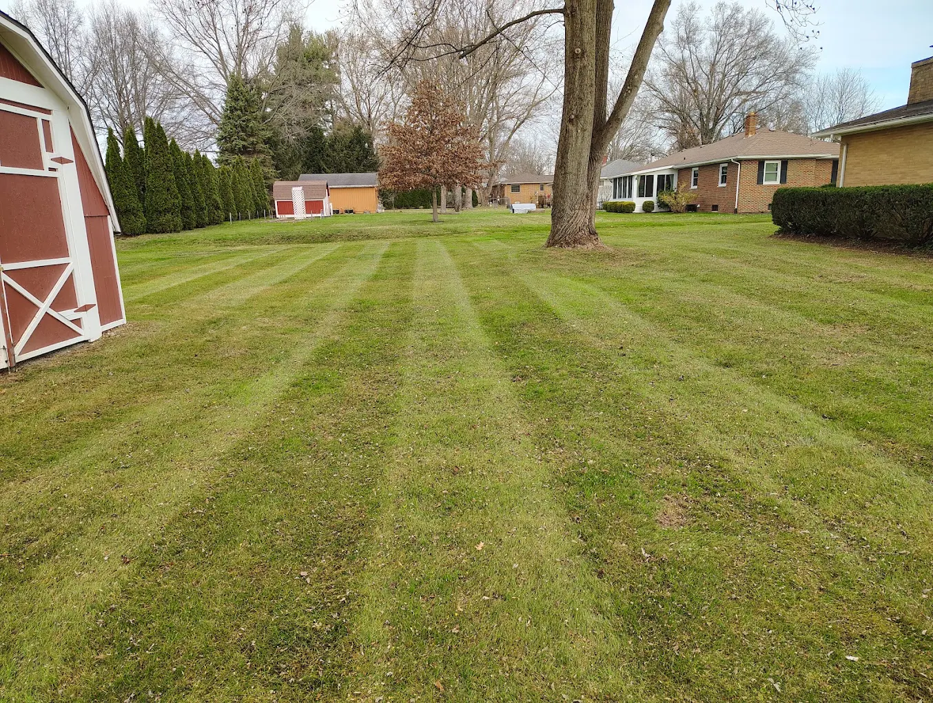 First Choice Landscaping and Lawn Maintenance LLC